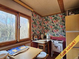 Eladó 813 m²-esmezőgazdasági ingatlan Verőce, Fehérhegy dűlő: 23'900'000 Ft