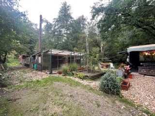 Eladó 737 m²-estelek Verőce, Ölyv utca: 19'700'000 Ft