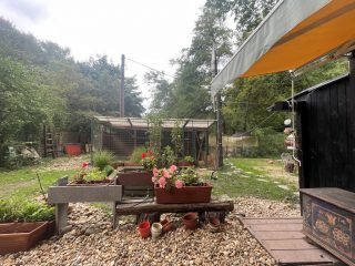 Eladó 737 m²-estelek Verőce, Ölyv utca: 19'700'000 Ft