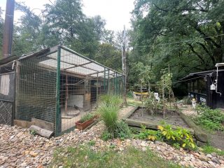 Eladó 737 m²-estelek Verőce, Ölyv utca: 19'700'000 Ft