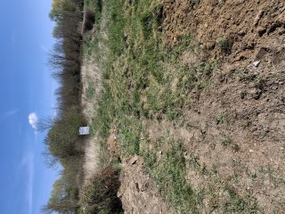 Eladó 50 m²-escsaládi ház Vése, Kis utca: 3'500'000 Ft