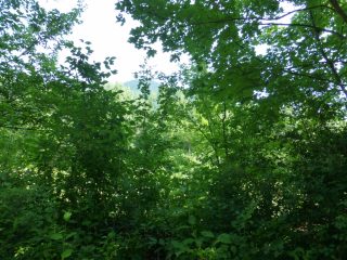 Eladó 1730 m²-estelek Visegrád, Gizella utca: 19'950'000 Ft