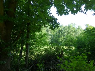 Eladó 1730 m²-estelek Visegrád, Gizella utca: 19'950'000 Ft