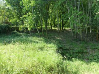 Eladó 1730 m²-estelek Visegrád, Gizella utca: 19'950'000 Ft