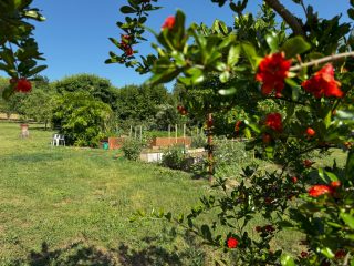 Eladó 165 m²-escsaládi ház Zalacsány, Örvényeshegy utca: 225'000'000 Ft