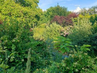 Eladó 320 m²-esegyéb vendéglátó egység Zamárdi, Helka út: 369'000'000 Ft