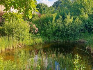 Eladó 320 m²-esegyéb vendéglátó egység Zamárdi, Helka út: 369'000'000 Ft