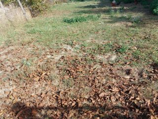 Eladó 889 m²-estelek Zamárdi, Ófalu: 38'900'000 Ft