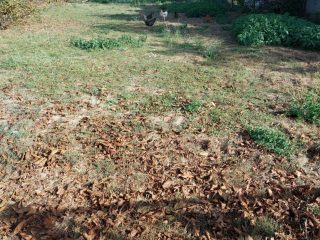 Eladó 889 m²-estelek Zamárdi, Ófalu: 38'900'000 Ft