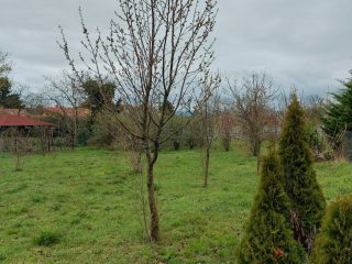Eladó 1300 m²-estelek Zamárdi, Ófalu utca: 75'000'000 Ft