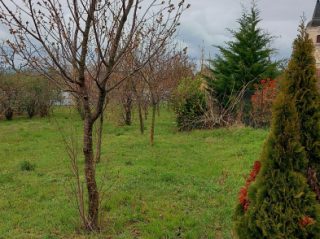 Eladó 1300 m²-estelek Zamárdi, Ófalu utca: 75'000'000 Ft