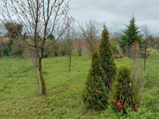 Eladó 1300 m²-estelek Zamárdi, Ófalu utca: 75'000'000 Ft