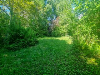 Eladó 35 m²-esüdülő Zebegény, Szegfű utca: 49'000'000 Ft