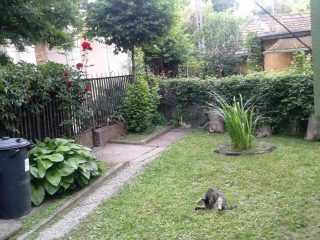 Eladó 72 m²-esikerház Zebegény, Zebegény: 65'000'000 Ft