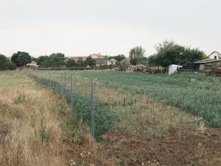 Eladó 1457 m²-estelek Zichyújfalu, Lenkei utca: 14'110'000 Ft