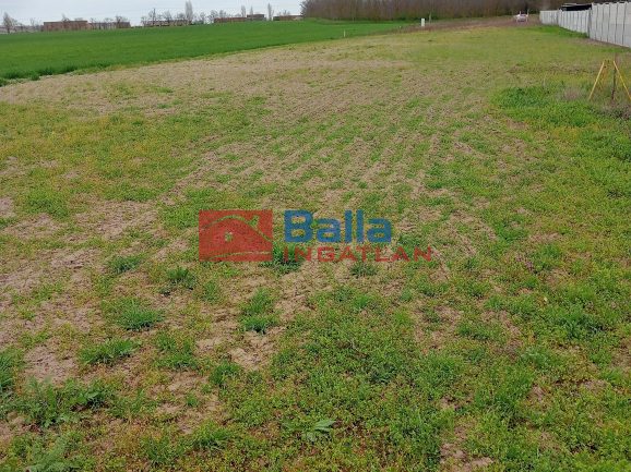 Eladó 991 m²-estelek Áporka, Béke utca közeli utca: 24'000'000 Ft