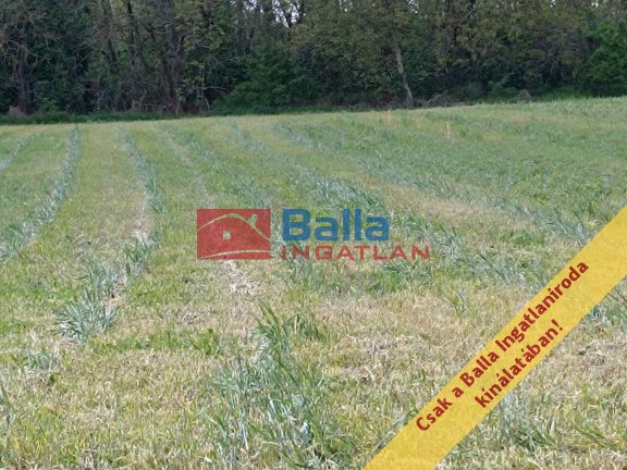 Eladó 950 m²-estelek Áporka, Petőfi utca: 22'500'000 Ft