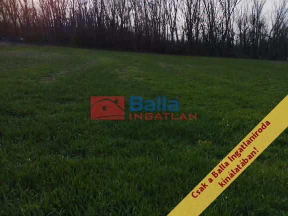 Eladó 796 m²-estelek Áporka, Petőfi utca: 21'500'000 Ft