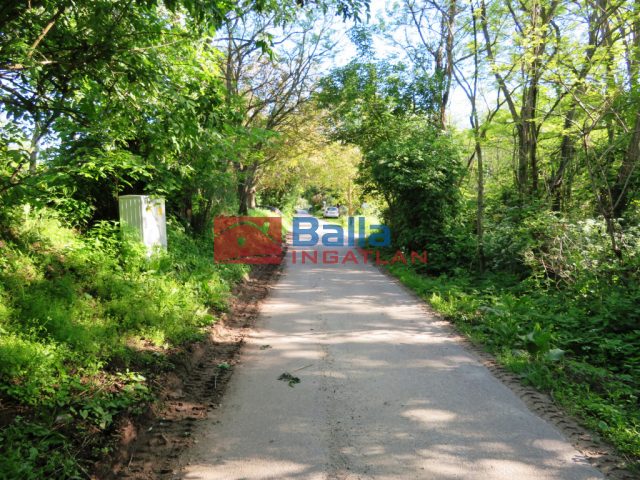 Eladó 2160 m²-estelek Badacsonytomaj, Badacsonyörs: 21'900'000 Ft