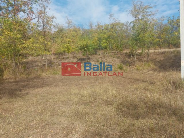 Eladó 4995 m²-estelek Balatonendréd, Zártkert utca: 14'490'000 Ft