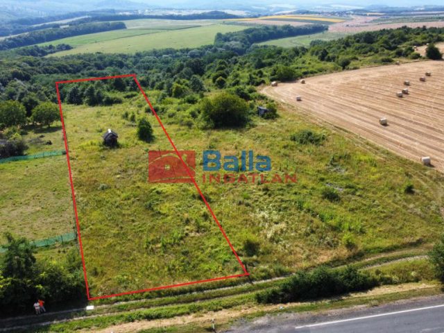 Eladó 5005 m²-estelek Berkenye, Berkenye külterület: 4'990'000 Ft