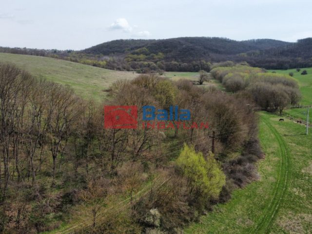 Eladó 22721 m²-esmezőgazdasági ingatlan Berkenye, Külterület utca: 17'949'000 Ft