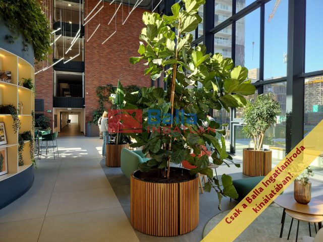 Eladó 41 m²-estársasházi lakás IX. Kerület (Középső Ferencváros (Rehabilitációs terület)) , Vágóhíd utca: 86'000'000 Ft