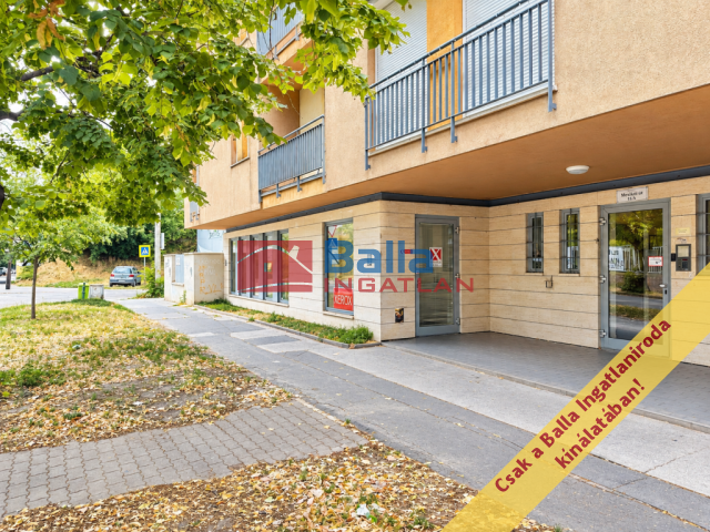 Eladó 142 m²-esüzlethelyiség utcai bejárattal XIV. Kerület (Törökőr) , Mexikói út: 109'000'000 Ft