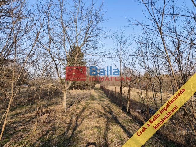 Eladó 828 m²-estelek XVI. Kerület (Cinkota) , Cinkota: 11'900'000 Ft