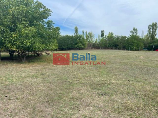 Eladó 5211 m²-esmezőgazdasági ingatlan XVII. Kerület (Rákoscsaba Újtelep) , Kerektói utca: 48'700'000 Ft