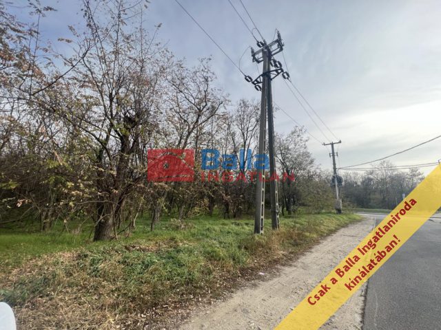 Eladó 17 m²-esmezőgazdasági ingatlan XVII. Kerület (Rákoshegy) , Baross utca: 1'550'000 Ft