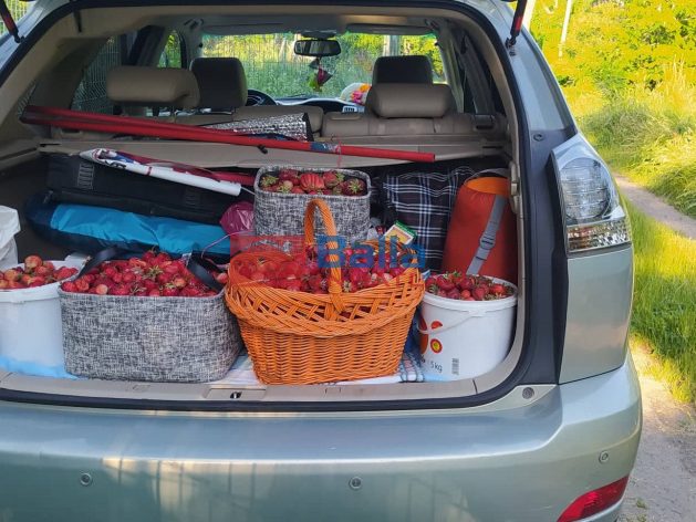 Kiadó 1000 m²-estelek XVII. Kerület (Rákoshegy) , Rákoshegy csendes mellékutcában található utca: 140'000 Ft