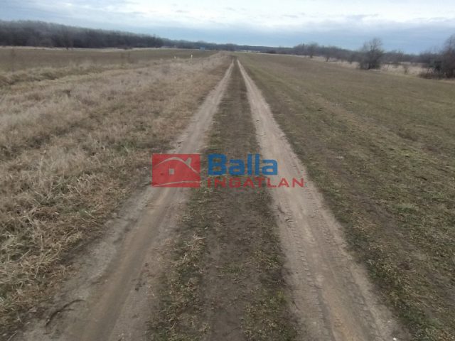 Kiadó 1000 m²-esmezőgazdasági ingatlan XVII. Kerület (Rákoshegy) , Reptér közeli völgy: 110'000 Ft