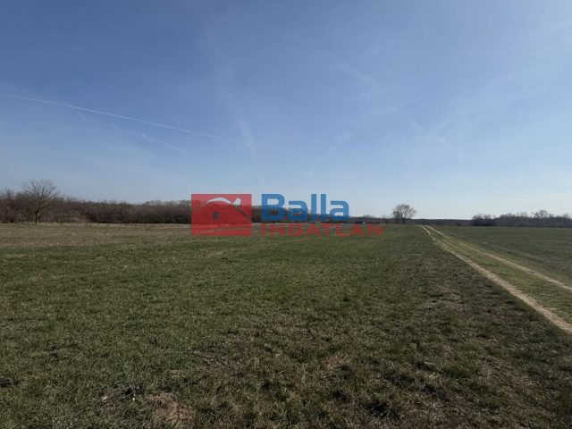 Eladó 1000 m²-estelek XVII. Kerület (Rákoshegy) , reptér közeli utca: 4'900'000 Ft