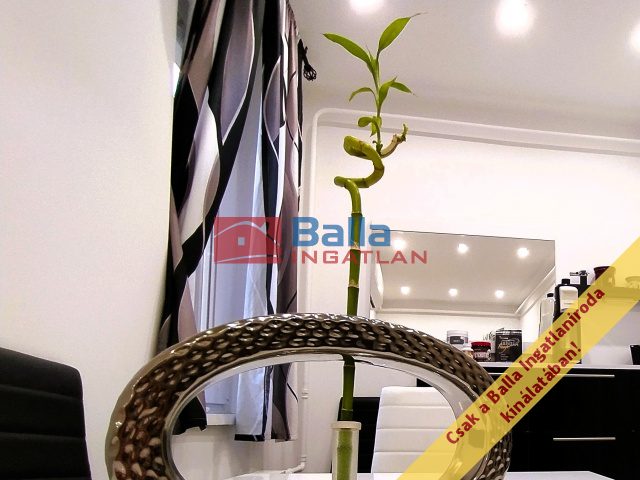 Eladó 58 m²-estársasházi lakás XVII. Kerület (Rákoskeresztúr) , Városközpont utca: 73'000'000 Ft