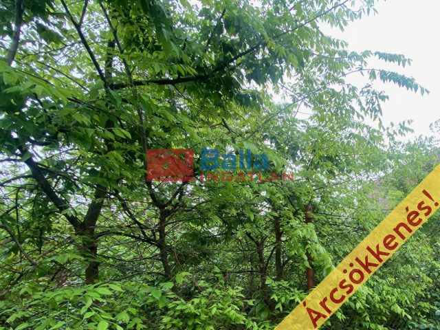 Eladó 730 m²-estelek XVIII. Kerület (Miklóstelep) , Szemere Miklós utca: 85'000'000 Ft