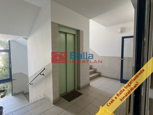 Eladó 30 m²-estársasházi lakás XVIII. Kerület (Szent Imre-kertváros) , Királyhágó utca: 49'900'000 Ft