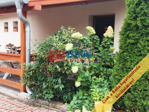 Eladó 108 m²-escsaládi ház XXII. Kerület (Budafok) , Tóth József utca: 140'000'000 Ft