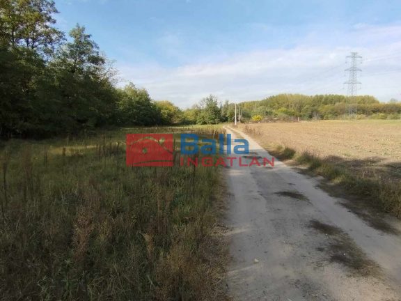 Eladó 65000 m²-esmezőgazdasági ingatlan Bugyi, Rádai utca mellet: 16'000'000 Ft