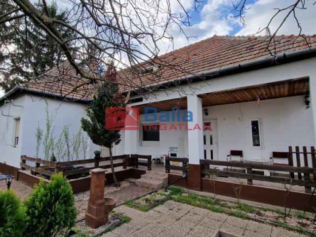 Eladó 30000 m²-esmezőgazdasági ingatlan Dabas, Városközpont közeli utca: 195'000'000 Ft