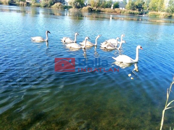 Eladó 145 m²-esüdülő Délegyháza (Délegyháza) , Bányász sor: 164'900'000 Ft