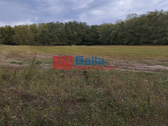 Eladó 12000 m²-esmezőgazdasági ingatlan Délegyháza, Gacs sor: 9'000'000 Ft