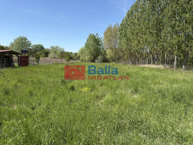 Eladó 1719 m²-estelek Dömsöd, Vadvirág utca: 5'900'000 Ft