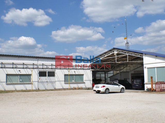 Eladó 1065 m²-esegyéb üzlethelyiség Dömsöd, gumis tanya: 380'000'000 Ft