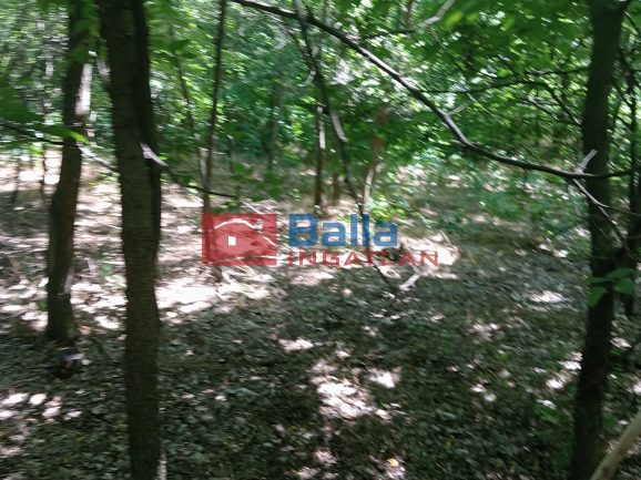 Eladó 2269 m²-estelek Dunaharaszti, Névtelen  utca utca: 11'000'000 Ft