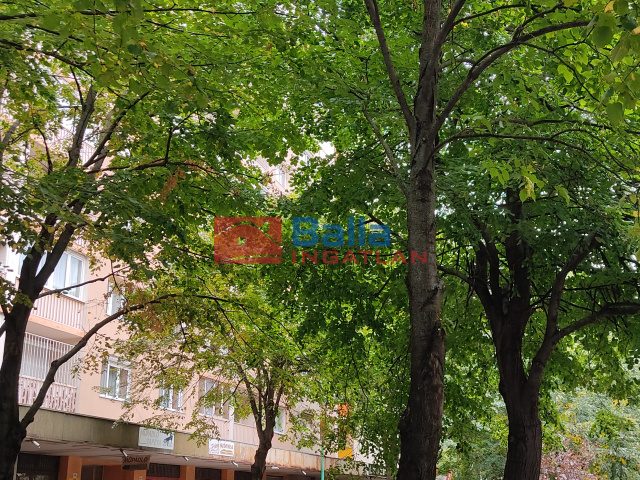 Eladó 57 m²-estársasházi lakás Dunaújváros, Római körút: 34'900'000 Ft