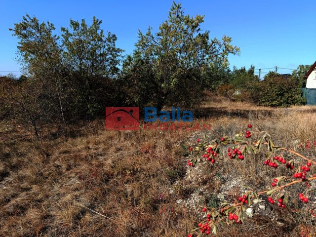 Eladó 969 m²-estelek Érd (Dombosváros) , Zólyomi utca: 34'900'000 Ft