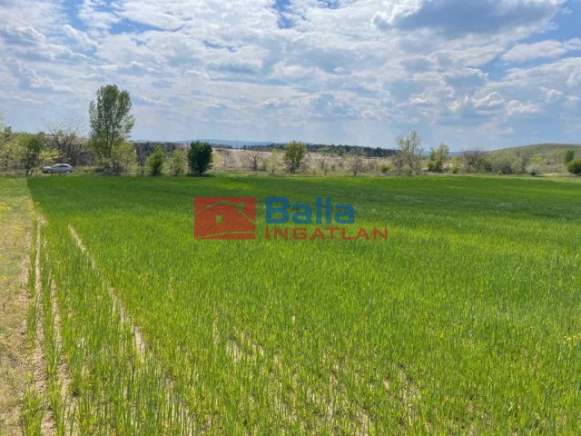 Eladó 28770 m²-esmezőgazdasági ingatlan Fót, Fót- Kisalag: 24'900'000 Ft