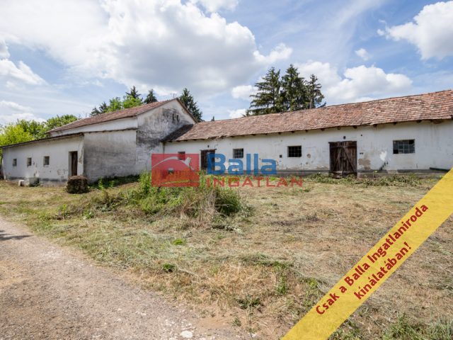 Eladó 1795 m²-estelek Galgagyörk, Belterület: 20'000'000 Ft