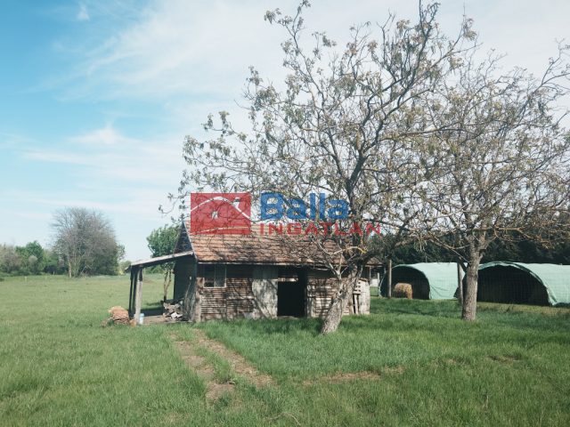 Eladó 4521 m²-estelek Gárdony, Géza fejedelem utca: 39'900'000 Ft